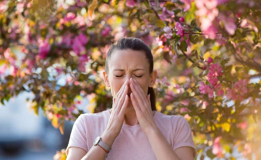 Seeking Natural Seasonal Allergy Relief? Here Are Some Tips