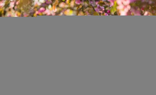 Seeking Natural Seasonal Allergy Relief? Here Are Some Tips