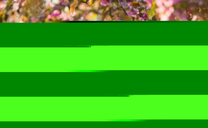 Seeking Natural Seasonal Allergy Relief? Here Are Some Tips