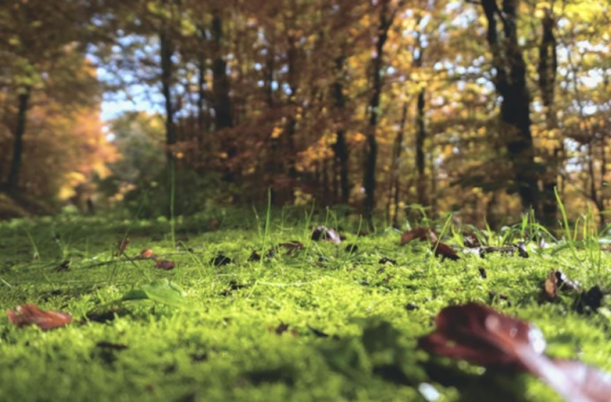 How to Relieve Stress Naturally: 10 Proven Methods