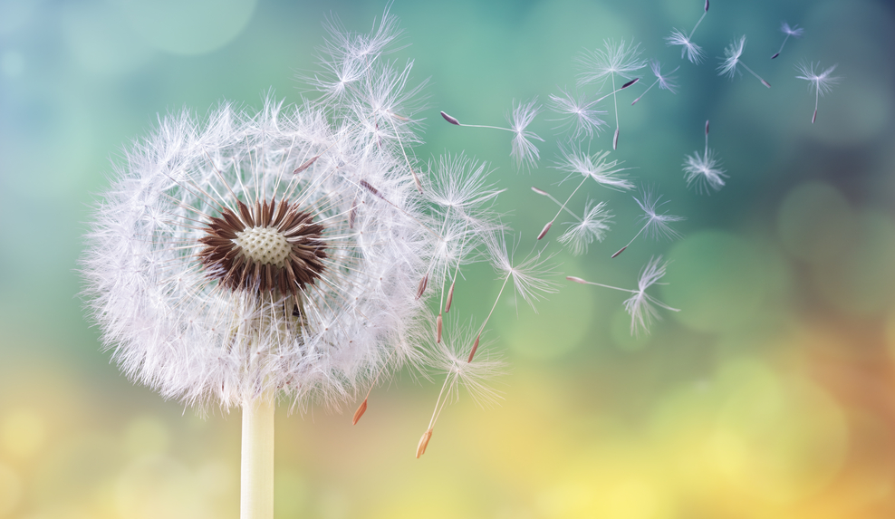 Seasonal Allergies: Nothing to Sneeze About