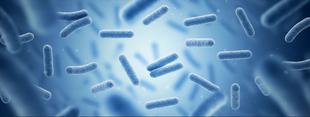 Silver, A Natural Antimicrobial to Inhibit Growth and Spread of Germs