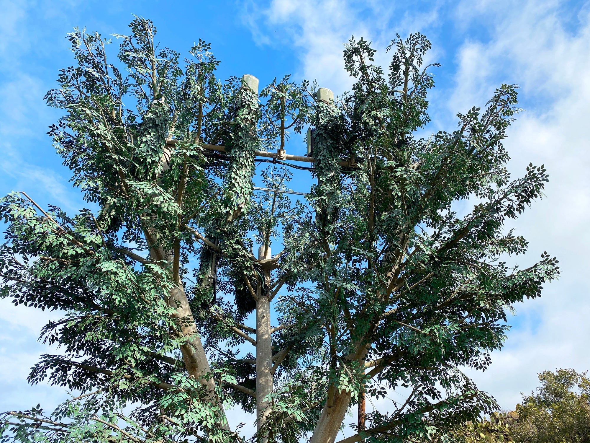 Why we should care about the harmful effects of EMFs?