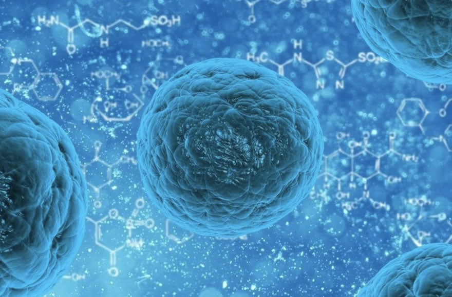 What’s the Difference Between Antimicrobial and Antibacterial?