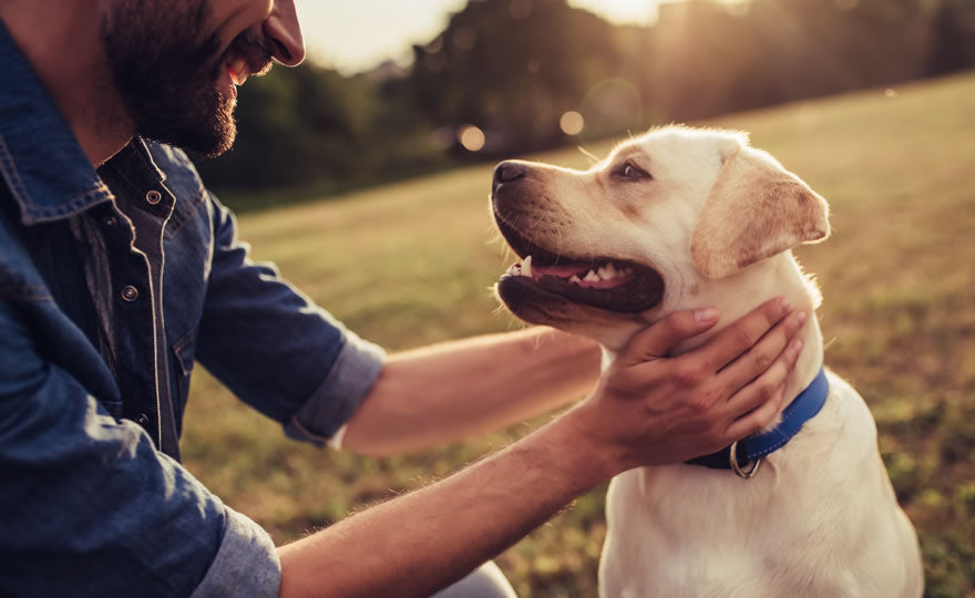 Man With Dog: Natural Solutions for Pet Skin Irritations