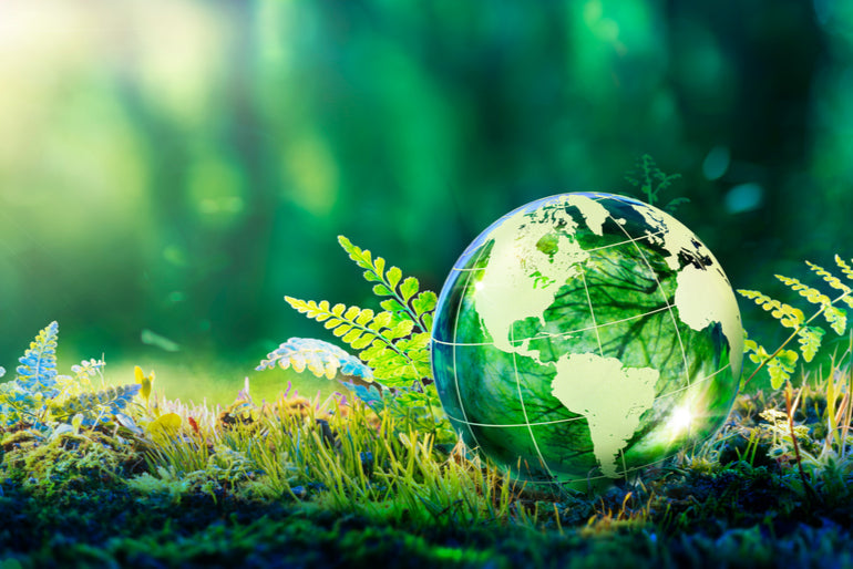 Globe in Forest: The History of Earth Day Began with One Man