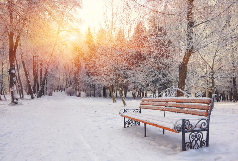 Relish a Day in Nature and Get Grounded