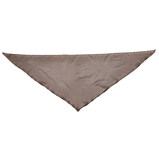 Pure Silver Bandana