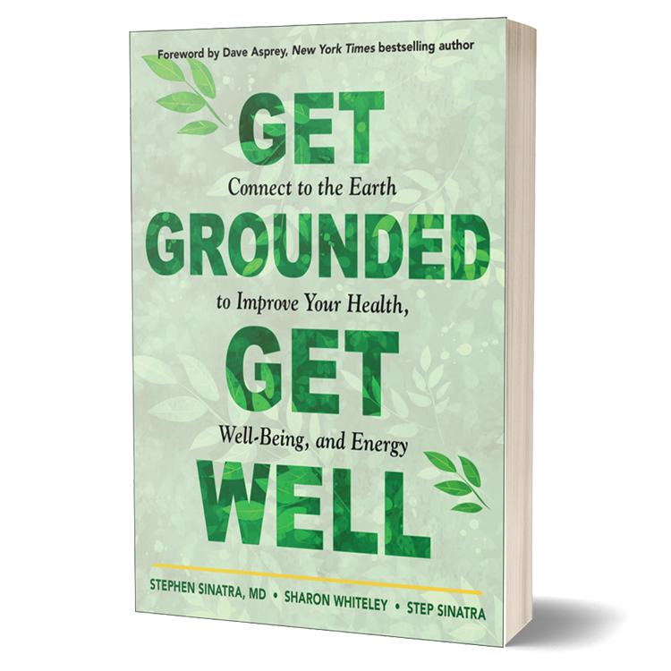 Get Grounded, Get Well - Book