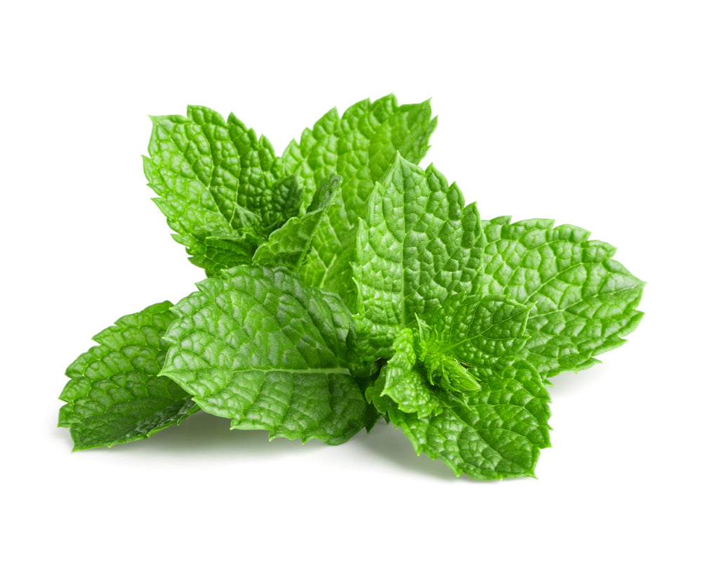 Silver Infused Peppermint Pure Essential Oil